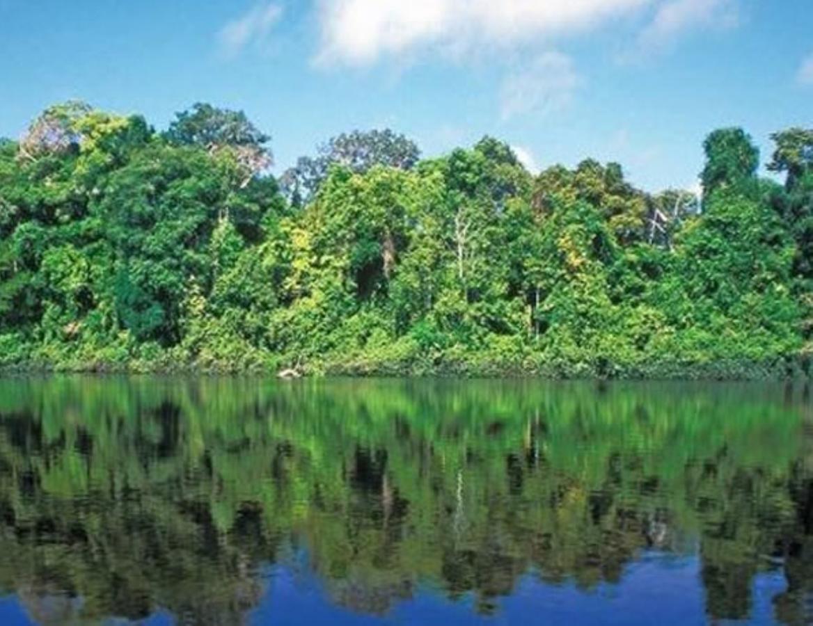 Hotel Vista Al Tortuguero Cariari  Exteriér fotografie