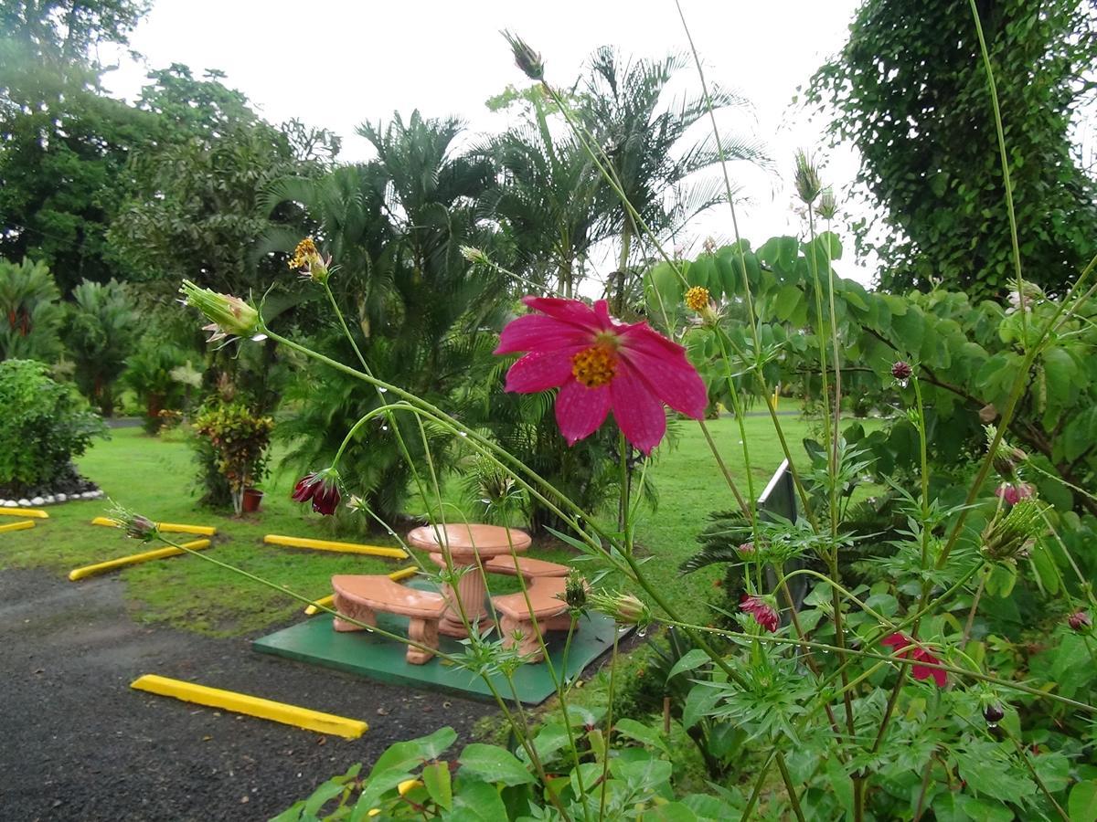 Hotel Vista Al Tortuguero Cariari  Pokoj fotografie
